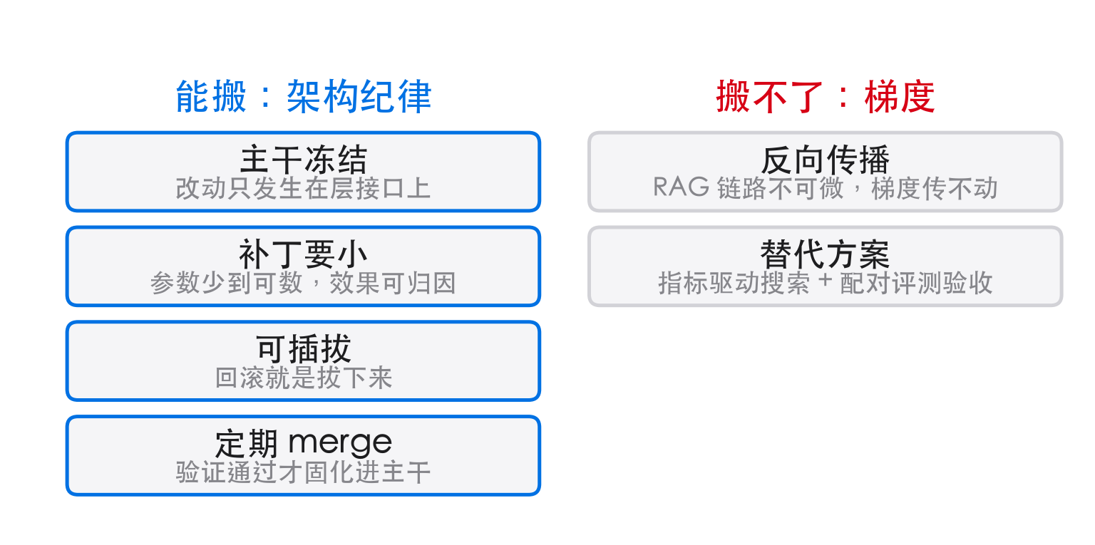向 LoRA 借什么、不能借什么